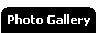Photo Gallery